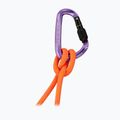 Karabina Mammut Classic HMS Screwgate screw gate/alpine calamint 2