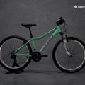 Dámské horské kolo Romet Jolene 6.1 green R22A-MTB-26-15-P-204 15