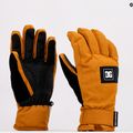 Pánské snowboardové rukavice DC Franchise cathay spice 6