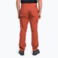 Pánské lezecké kalhoty The North Face Project červené NF0A5J7ZUBR1 4