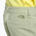 Pánské lezecké kraťasy The North Face Project béžové NF0A5J8M3X31 6
