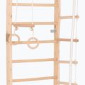 Gymnastický žebřík RINAGYM Kombi 3 11