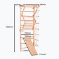 Gymnastický žebřík RINAGYM Sport 3 9