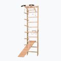 Gymnastický žebřík RINAGYM SPR A+SLIDE 2