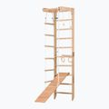 Gymnastický žebřík RINAGYM SPR B+SLIDE 3