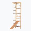 Gymnastický žebřík RINAGYM SPR B+SLIDE 4