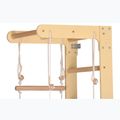 Gymnastický žebřík RINAGYM SPR B+SLIDE 6