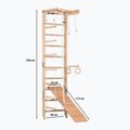 Gymnastický žebřík RINAGYM SPR B+SLIDE 10