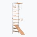 Gymnastický žebřík RINAGYM SPR B+SLIDE