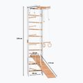Gymnastický žebřík RINAGYM SPR B+SLIDE 2