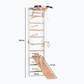 Gymnastický žebřík RINAGYM SPR A+SLIDE 2