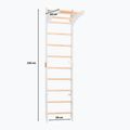 Gymnastický žebřík RINAGYM SPR C pure white 2