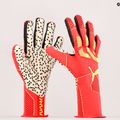 Brankářské rukavice PUMA Future Z:ONE Grip 1 NC oranžový 04180705 8