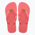 Žabky Havaianas Brasil Logo tropical coral 4