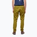 Pánské lezecké kalhoty Black Diamond Notion light green AP7500603039SML1 2