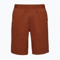 Pánské kraťasy Black Diamond Sierra burnt sienna 4