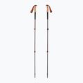 Trekingové hole Black Diamond Trail Cork Trekking fig