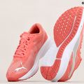 PUMA Aviator Profoam Sky 12 běžecká obuv růžová 376615 12 15