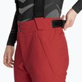 Pánské lyžařské kalhoty Colmar Sapporo-Rec english red 4