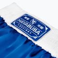 Tréninkové šortky Hayabusa Pro Boxing blue 5
