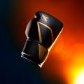 Boxerské rukavice Hayabusa E1 Boxing black/gold 8