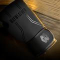 Boxerské rukavice Hayabusa Mayweather Contender black/gold 6