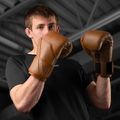 Boxerské rukavice Hayabusa E1 Leather brown 7