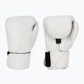 Boxerské rukavice Hayabusa T360 Leather white