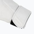 Boxerské rukavice Hayabusa T360 Leather white 6
