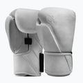 Boxerské rukavice Hayabusa T360 Leather white