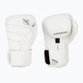 Boxerské rukavice Hayabusa T3 Kanpeki arctic white
