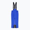 Pánské lyžařské kalhoty EA7 Emporio Armani Pure Protectum 7 new royal 7