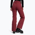 Dámské lyžařské kalhoty Dainese Hp Scree jam violet 4
