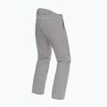 Pánské lyžařské kalhoty Dainese Dermizax Ev silver/filigree 7