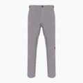Pánské lyžařské kalhoty Dainese Dermizax Ev silver/filigree