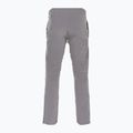 Pánské lyžařské kalhoty Dainese Dermizax Ev silver/filigree 2