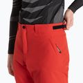 Pánské lyžařské kalhoty Dainese Dermizax Ev high/risk/red 4