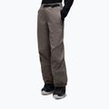 Pánské lyžařské kalhoty Oakley Wintertide Softshell granite gray