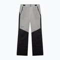 Pánské lyžařské kalhoty Oakley Canopy Pro Insulated Pitch Black/Cement 6