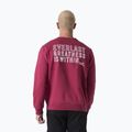 Pánská mikina  Everlast Neutrals Crewneck bordeaux 3