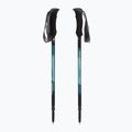 Trekové hole  Fizan Compact water green 5