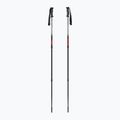 Trekové hole  Fizan Explorer beige/red