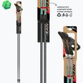 Hole na Nordic Walking Fizan Carbon Pro Impulse grey 6