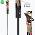 Hole na Nordic Walking Fizan Tekno Impulse grey 6