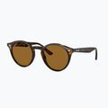 Sluneční brýle Ray-Ban RB2180 light havana/brown polarized 4