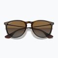 Sluneční brýle Ray-Ban Erika Classic light havana/brown polarized 3