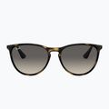 Dětské sluneční brýle Ray-Ban Erika havana/grey 2