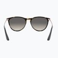 Dětské sluneční brýle Ray-Ban Erika havana/grey 5