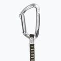 Ekspreska Climbing Technology Lime silver 2