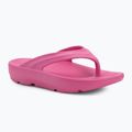 Dámské žabky Ellesse Aletha fuxia